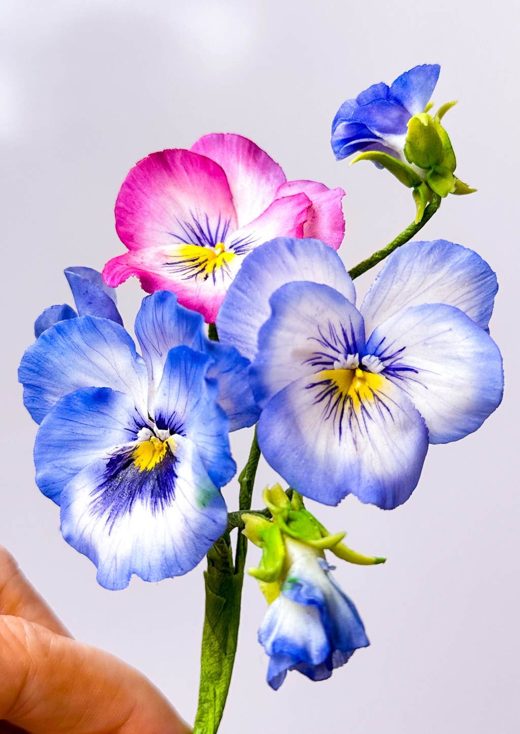 手に持った、お砂糖のパンジーの花束(青・ピンク・つぼみ)