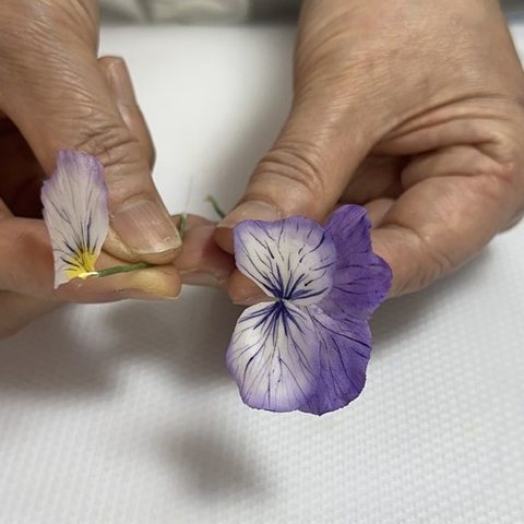 花びらを組み立てる手元