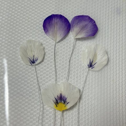 模様と色をのせ終えた5枚の花びら